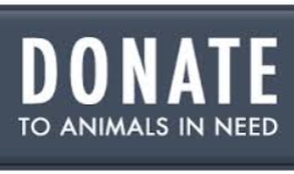 Animal Shelter Donation