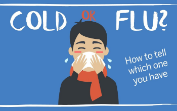 cold or flu?
