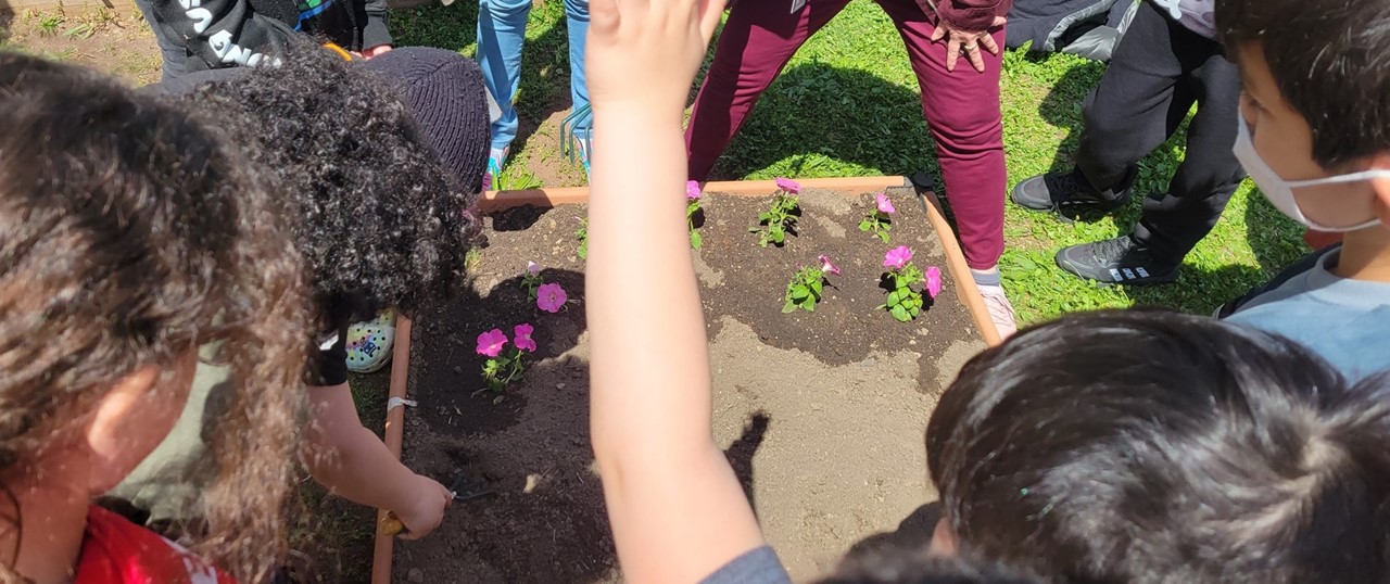 Students Planting Flowers